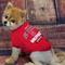 Show in main carousel: Pets First Sport Team Dog & Cat T-Shirt, NC State, X-Small slide 3 of 6