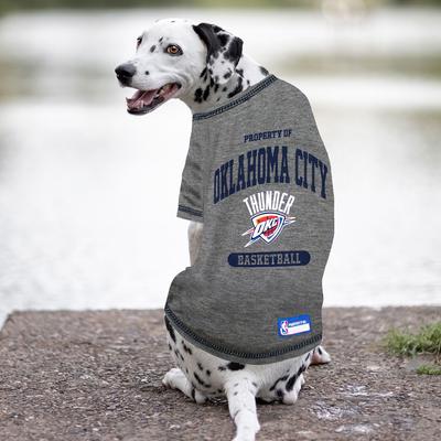 Show full view: Pets First Sport Team Dog & Cat T-Shirt, OKC Thunder, Small slide 3 of 6