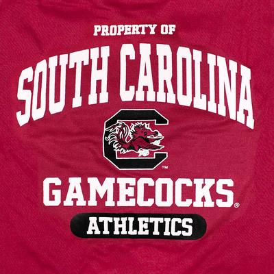 Show full view: Pets First Sport Team Dog & Cat T-Shirt, South Carolina, X-Small slide 4 of 6