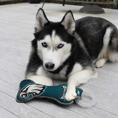 Show full view: Pets First Squeaky Dental Dog Tug Toy, Philadelphia Eagles slide 3 of 6