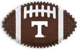 Pets First Tennessee Hard Nylon Football Dog Chew Toy, Brown slide 1 of 5