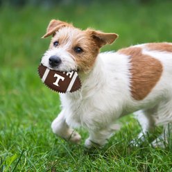 Pets First Tennessee Hard Nylon Football Dog Chew Toy, Brown slide 2 of 5