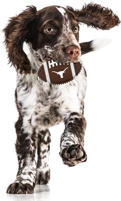 Show full view: Pets First Texas Hard Nylon Football Dog Chew Toy, Brown slide 3 of 5