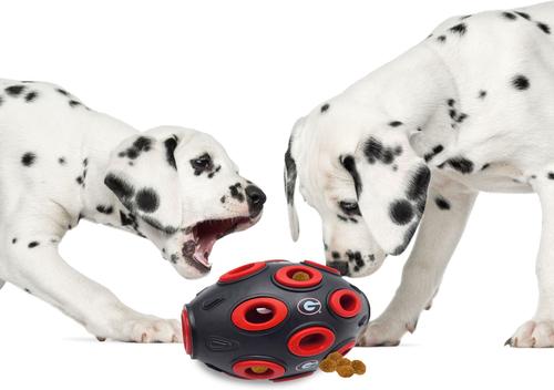 Show full view: Pets First Tough Treat Dispenser Dog Toy, Georgia slide 4 of 6