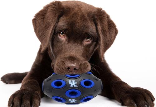 Show full view: Pets First Tough Treat Dispenser Dog Toy, Kentucky slide 3 of 6