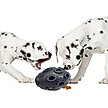 Show in main carousel: Pets First Tough Treat Dispenser Dog Toy, New England Patriots slide 4 of 6