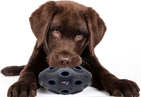 Show full view: Pets First Tough Treat Dispenser Dog Toy, New England Patriots slide 3 of 6