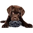 Show in main carousel: Pets First Tough Treat Dispenser Dog Toy, New England Patriots slide 3 of 6