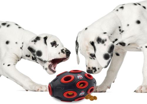 Show full view: Pets First Tough Treat Dispenser Dog Toy, Ohio State slide 4 of 6