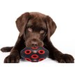 Show in main carousel: Pets First Tough Treat Dispenser Dog Toy, San Francisco 49ers slide 3 of 6