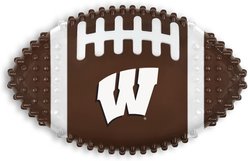 Pets First Wisconsin Hard Nylon Football Dog Chew Toy, Brown