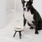 Show in main carousel: Pets So Good Oreo Pet Table Stainless Steel Dog & Cat Bowl, Black/White, Medium: 4-cup slide 3 of 3