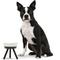 Show in main carousel: Pets So Good Oreo Pet Table Stainless Steel Dog & Cat Bowl, Black/White, Medium: 4-cup slide 2 of 3