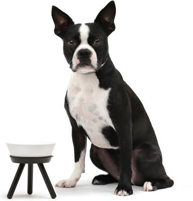 Show full view: Pets So Good Oreo Pet Table Stainless Steel Dog & Cat Bowl, Black/White, Medium: 4-cup slide 2 of 3