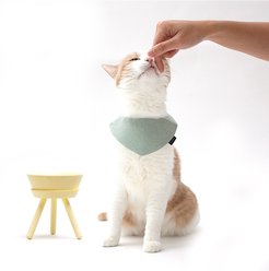 Pets So Good Oreo Pet Table Stainless Steel Dog & Cat Bowl, Lemon Yellow, Medium: 4-cup slide 2 of 2