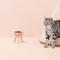 Show in main carousel: Pets So Good Oreo Pet Table Stainless Steel Dog & Cat Bowl, Pink, Medium: 4-cup slide 2 of 2