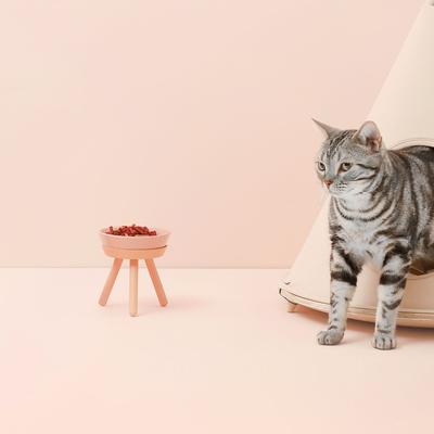 Show full view: Pets So Good Oreo Pet Table Stainless Steel Dog & Cat Bowl, Pink, Medium: 4-cup slide 2 of 2