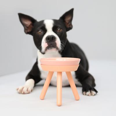 Show full view: Pets So Good Oreo Pet Table Stainless Steel Dog & Cat Bowl, Pink, Small: 2-cup slide 2 of 4