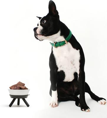 Show full view: Pets So Good Oreo Table Dog & Cat Bowl, Black & White, Medium slide 3 of 4