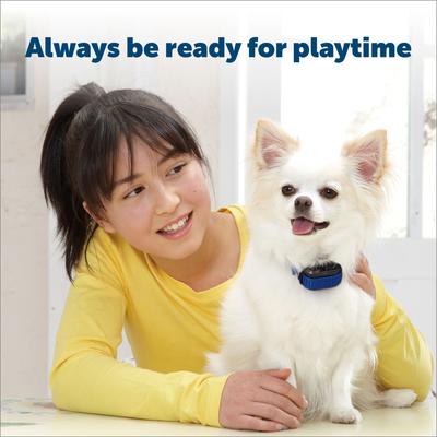 Show full view: PetSafe 3-Volt RFA-188 Replacement Battery slide 2 of 5