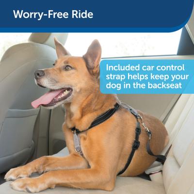 Show full view: PetSafe 3-in-1 Reflective Dog Harness & Leash, Medium: 24 to 34-in chest slide 2 of 10