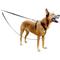 Show in main carousel: PetSafe 3-in-1 Reflective Dog Harness & Leash, Medium: 24 to 34-in chest slide 7 of 10