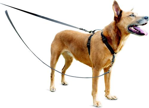 Show full view: PetSafe 3-in-1 Reflective Dog Harness & Leash, Small: 19 to 24-in chest slide 7 of 10