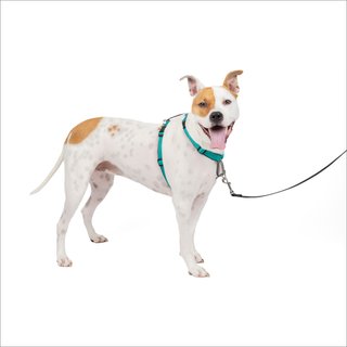 PetSafe 3-in-1 Reflective Dog Harness with Car Control Strap, Teal, Medium: 24 to 34-in chest slide 1 of 8