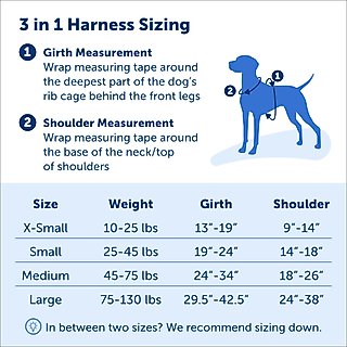 PetSafe 3-in-1 Reflective Dog Harness with Car Control Strap, Teal, Medium: 24 to 34-in chest slide 5 of 8