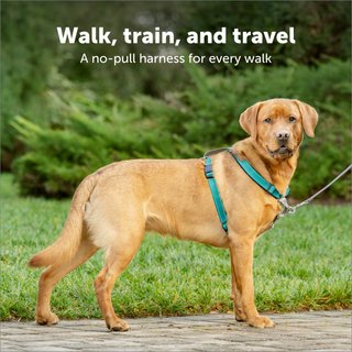 PetSafe 3-in-1 Reflective Dog Harness with Car Control Strap, Teal, Medium: 24 to 34-in chest slide 2 of 8