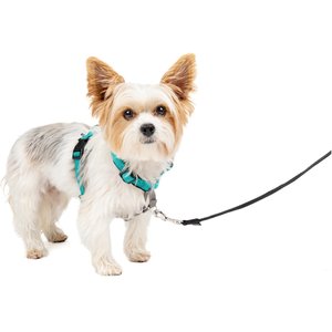 Dog Harness Petsafe In Harness Amazon PETSAFE 3-in-1 Reflective