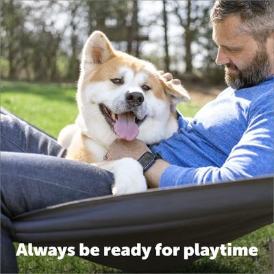 Show full view: PetSafe 9-Volt PAC11-12067 Replacement Battery slide 3 of 7