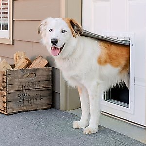 PetSafe Aluminum Extreme Weather Dog & Cat Door, Large