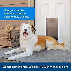 PetSafe Aluminum Extreme Weather Dog & Cat Door, Large