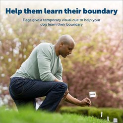 PetSafe Boundary Flags, 50 count slide 2 of 6