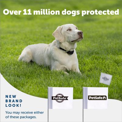 Show full view: PetSafe Boundary Flags, 50 count slide 6 of 6