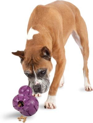 Show full view: PetSafe Busy Buddy Barnacle Treat Dispenser Tough Dog Chew Toy, Large slide 3 of 10
