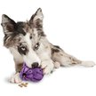 Show in main carousel: PetSafe Busy Buddy Barnacle Treat Dispenser Tough Dog Chew Toy, Medium slide 3 of 9