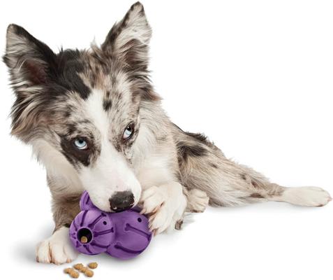 Show full view: PetSafe Busy Buddy Barnacle Treat Dispenser Tough Dog Chew Toy, Medium slide 3 of 9