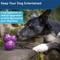 Show in main carousel: PetSafe Busy Buddy Barnacle Treat Dispenser Tough Dog Chew Toy, Medium slide 4 of 9