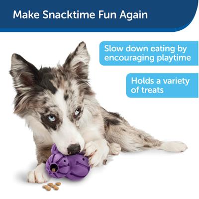 Show full view: PetSafe Busy Buddy Barnacle Treat Dispenser Tough Dog Chew Toy, Medium slide 7 of 9