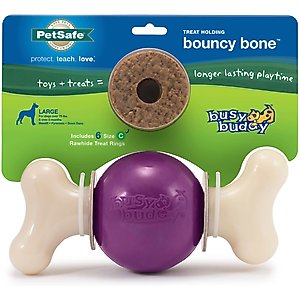 PetSafe Busy Buddy Bouncy Bone Treat Dispenser Tough Dog Chew Toy, Large, Purple