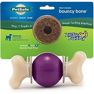 PetSafe Busy Buddy Bouncy Bone Treat Dispenser Tough Dog Chew Toy, Medium, Purple