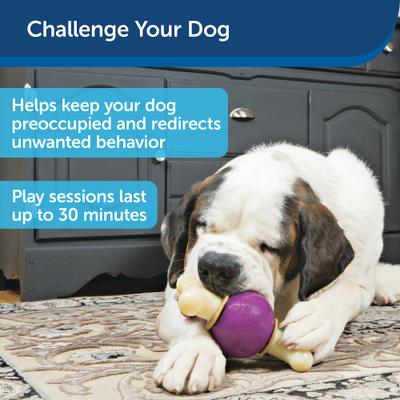 Show full view: PetSafe Busy Buddy Bouncy Bone Treat Dispenser Tough Dog Chew Toy, Medium, Purple slide 5 of 11