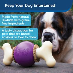 PetSafe Busy Buddy Bouncy Bone Treat Dispenser Tough Dog Chew Toy, Medium/Large slide 2 of 6