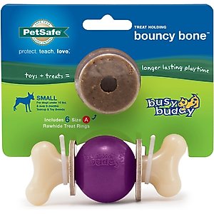 PetSafe Busy Buddy Bouncy Bone Treat Dispenser Tough Dog Chew Toy, Small