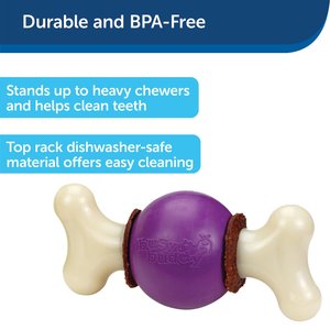 PetSafe Busy Buddy Bouncy Bone Treat Dispenser Tough Dog Chew Toy, Small