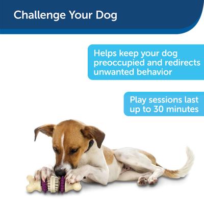 Show full view: PetSafe Busy Buddy Bristle Bone Treat Dispenser Tough Dog Chew Toy, Large slide 5 of 12