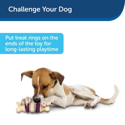 Show full view: PetSafe Busy Buddy Bristle Bone Treat Dispenser Tough Dog Chew Toy, Large slide 8 of 12