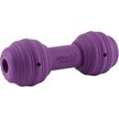Show in main carousel: PetSafe Busy Buddy Chuckle Squeaky Treat Dispenser Dog Toy, Medium/Large slide 1 of 9